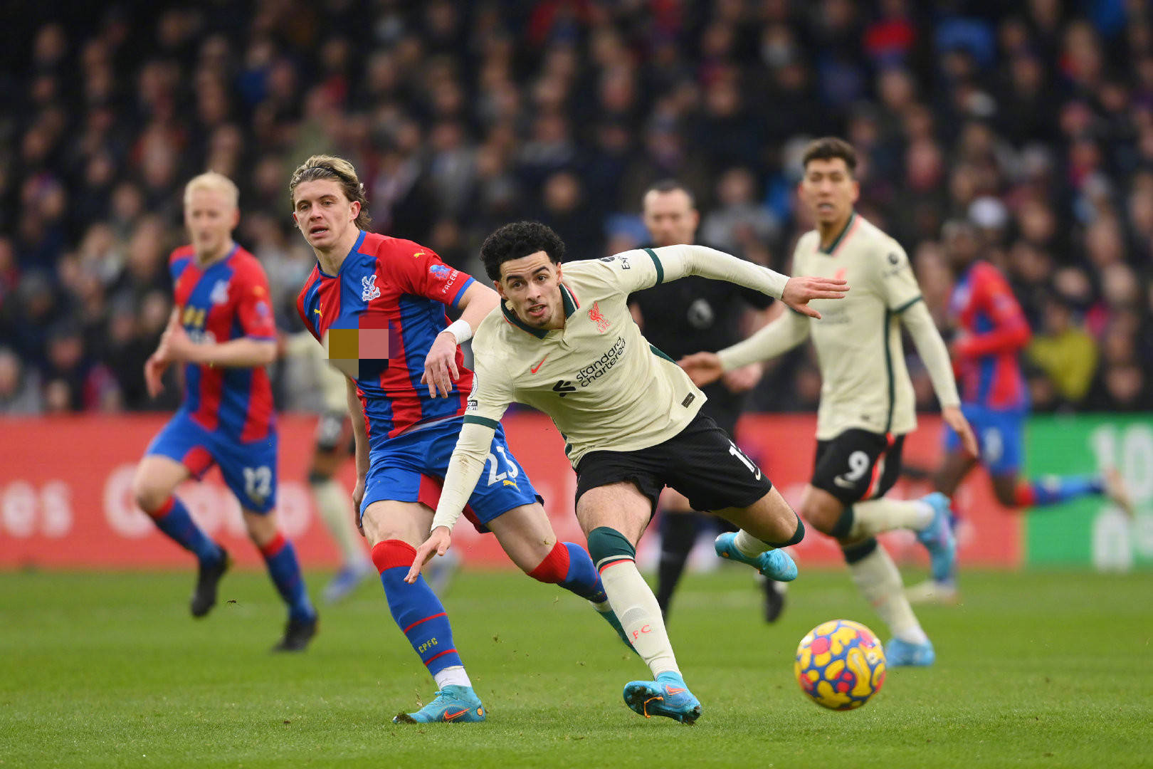 但随着年龄 但随着年龄