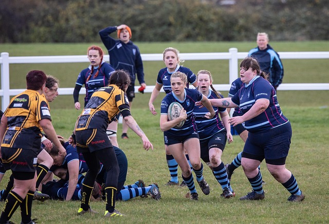 场的品牌价 场的品牌价